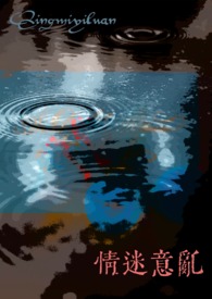 小说情迷意乱