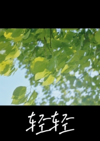 轻轻泥装饰画