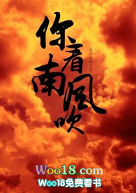 你看南风吹小说简介